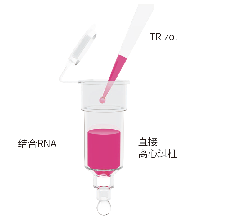 優(yōu)享價R2050有.png