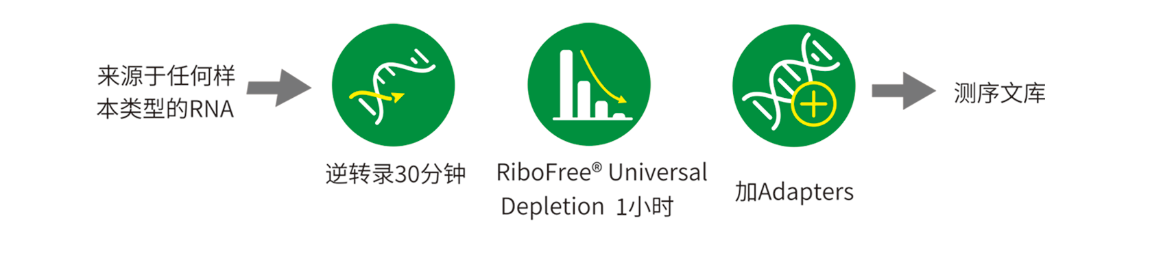 優(yōu)享價R3000R3003.png